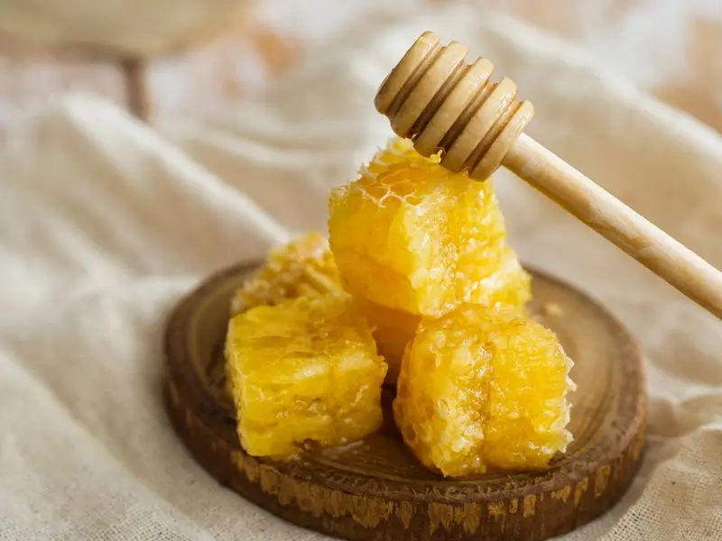 Half Day Beekeeping Experience - Dive into the World of Bees!